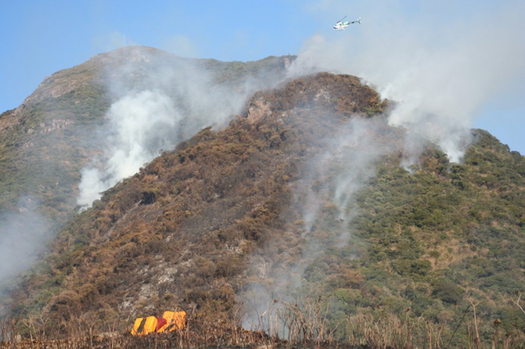 O estado do Paraná registrou mais de mil incêndios em áreas ambientais em julho deste ano, de acordo com o Corpo de Bombeiros; foram 1.013 casos, com um ferido; desde o início do ano houve 3.525 ocorrências; em 2016, o Paraná teve 10.708 ocorrências de incêndios ambientais, com oito feridos; a corporação informou que, normalmente, julho e agosto são os meses que, historicamente, registram o maior número de incêndios; em 2017, o mês de março ficou em segundo lugar em ocorrências de incêndio ambiental, com 549 casos (Foto: Leonardo Lucena) O estado do Paraná registrou mais de mil incêndios em áreas ambientais em julho deste ano, de acordo com o Corpo de Bombeiros; foram 1.013 casos, com um ferido; desde o início do ano houve 3.525 ocorrências; em 2016, o Paraná teve 10.708 ocorrências de incêndios ambientais, com oito feridos; a corporação informou que, normalmente, julho e agosto são os meses que, historicamente, registram o maior número de incêndios; em 2017, o mês de março ficou em segundo lugar em ocorrências de incêndio ambiental, com 549 casos