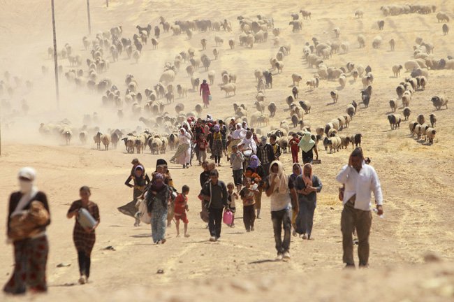 Refugiados yazidi que perderam tudo vagam a esmo pelas montanhas da fronteira dom Iraque com a Síria. (Foto: Guilherme Coutinho) Refugiados yazidi que perderam tudo vagam a esmo pelas montanhas da fronteira dom Iraque com a Síria.