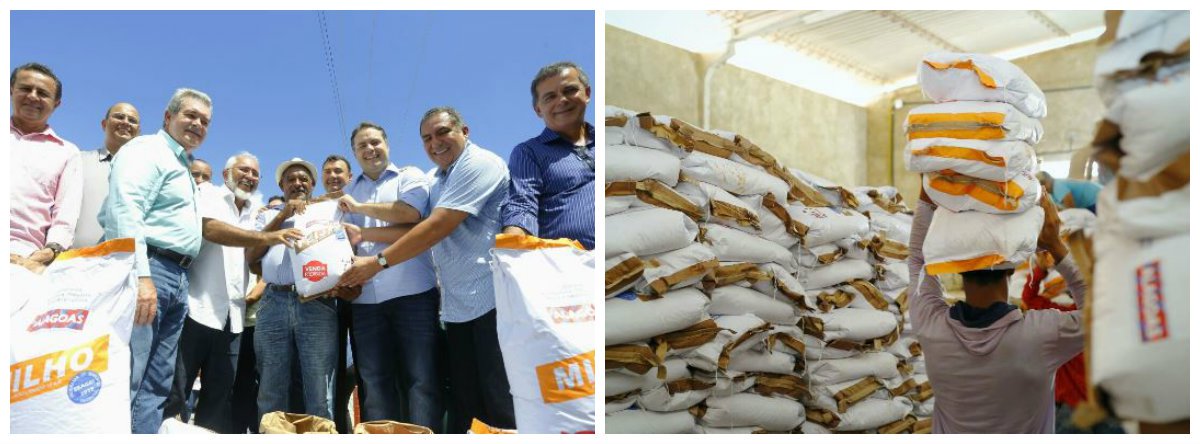 O governo de Alagoas entregou a produtores da agricultura familiar de oito municípios do Alto Sertão alagoano 23,5 mil quilos de sementes de feijão, milho e sorgo; distribuição beneficiou mais de 11 famílias dos municípios de Delmiro Gouveia, Água Branca, Canapi, Piranhas, Mata Grande, Pariconha, Olho D'Água do Casado e Inhapi (Foto: Voney Malta) O governo de Alagoas entregou a produtores da agricultura familiar de oito municípios do Alto Sertão alagoano 23,5 mil quilos de sementes de feijão, milho e sorgo; distribuição beneficiou mais de 11 famílias dos municípios de Delmiro Gouveia, Água Branca, Canapi, Piranhas, Mata Grande, Pariconha, Olho D'Água do Casado e Inhapi