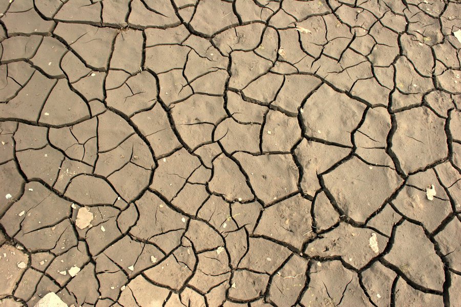 Dos cerca de 90 mil hectares irrigados do Estado, 40 mil foram afetados pela crise hídrica, acarretando uma redução de R$ 800 milhões de renda bruta e 96 mil empregos diretos e indiretos. Nesta segunda (17), deputados irão discutir o assoreamento do Rio Jaguaribe, o mais importante do Estado, e a necessidade de repovoamento das matas ciliares, além dos impactos socioeconômicos dos 21 municípios do Alto, Médio e Baixo Jaguaribe (Foto: Rodrigo Rocha) Dos cerca de 90 mil hectares irrigados do Estado, 40 mil foram afetados pela crise hídrica, acarretando uma redução de R$ 800 milhões de renda bruta e 96 mil empregos diretos e indiretos. Nesta segunda (17), deputados irão discutir o assoreamento do Rio Jaguaribe, o mais importante do Estado, e a necessidade de repovoamento das matas ciliares, além dos impactos socioeconômicos dos 21 municípios do Alto, Médio e Baixo Jaguaribe