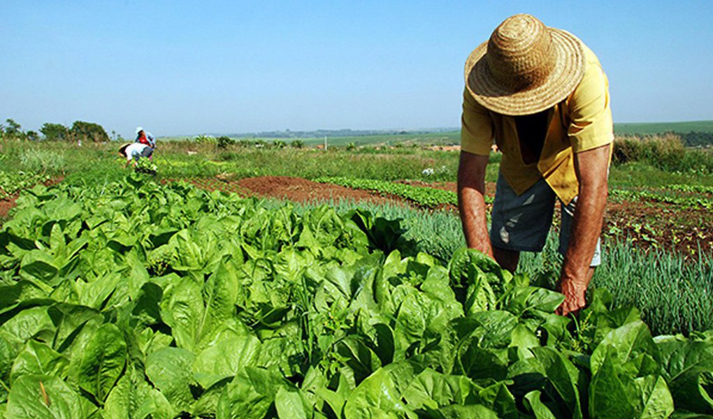 "Se não conseguir derrubar esse texto do relator, corre o risco de deixar 80% dos nossos agricultores fora da Previdência Social", declarou o presidente da Contag, Alberto Broch; comissão especial da reforma na Câmara derrubou destaque do deputado Heitor Schuch (PSB-RS) e manteve a proposta de 15 anos de contribuição para os trabalhadores rurais; de acordo com Alberto, o destaque voltará a ser apresentado no plenário da Câmara. A votação está prevista para a semana de 22 de maio; "É um jogo de cartas marcadas. É um placar que não muda nada mas nós vamos insistir muito", disse (Foto: Aquiles Lins) "Se não conseguir derrubar esse texto do relator, corre o risco de deixar 80% dos nossos agricultores fora da Previdência Social", declarou o presidente da Contag, Alberto Broch; comissão especial da reforma na Câmara derrubou destaque do deputado Heitor Schuch (PSB-RS) e manteve a proposta de 15 anos de contribuição para os trabalhadores rurais; de acordo com Alberto, o destaque voltará a ser apresentado no plenário da Câmara. A votação está prevista para a semana de 22 de maio; "É um jogo de cartas marcadas. É um placar que não muda nada mas nós vamos insistir muito", disse