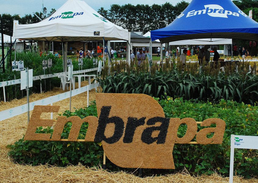 Artigo publicado na revista Carta Capital nesta quinta-feira, 5, traz importante denúncia relacionada à Empresa Brasileira de Pesquisa Agropecuária (Embrapa). Pesquisadores alertam que a Embrapa pode ter que abrir seu banco genético, avaliado em mais de US$ 1 bilhão, para multinacionais; "O banco genético é tão importante para o país que pode ser considerado o 'banco central' da agricultura brasileira", diz o texto (Foto: Aquiles Lins) Artigo publicado na revista Carta Capital nesta quinta-feira, 5, traz importante denúncia relacionada à Empresa Brasileira de Pesquisa Agropecuária (Embrapa). Pesquisadores alertam que a Embrapa pode ter que abrir seu banco genético, avaliado em mais de US$ 1 bilhão, para multinacionais; "O banco genético é tão importante para o país que pode ser considerado o 'banco central' da agricultura brasileira", diz o texto