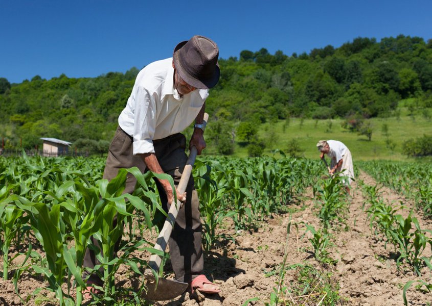 O que se quer fazer com a vida da grande massa de trabalhadores do campo beira a imoralidade. Estamos falando de uma camada das mais pobres da população brasileira, que trabalha de sol a sol para sobreviver, sobretudo num momento de seca como o que hoje atravessamos (Foto: Humberto Costa) O que se quer fazer com a vida da grande massa de trabalhadores do campo beira a imoralidade. Estamos falando de uma camada das mais pobres da população brasileira, que trabalha de sol a sol para sobreviver, sobretudo num momento de seca como o que hoje atravessamos