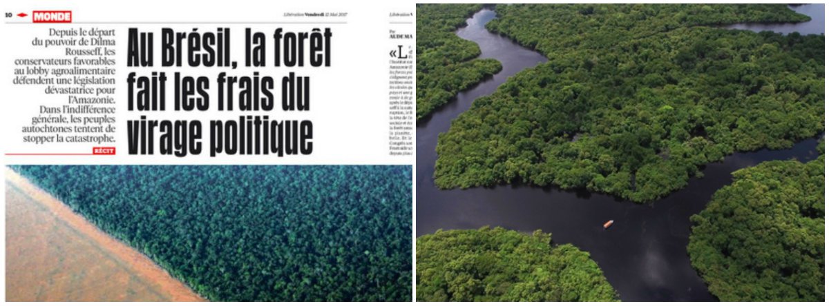 A edição desta sexta-feira 12 do jornal francês Libération traz uma matéria sobre o desmatamento da Floresta Amazônica, em prol das plantações de soja e da criação de gado. "No Brasil, a floresta paga o preço das mudanças políticas", diz a manchete (Foto: Gisele Federicce) A edição desta sexta-feira 12 do jornal francês Libération traz uma matéria sobre o desmatamento da Floresta Amazônica, em prol das plantações de soja e da criação de gado. "No Brasil, a floresta paga o preço das mudanças políticas", diz a manchete