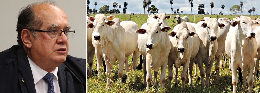O ministro Gilmar Mendes confirmou que sua família é fornecedora de gados para a empresa JBS, que está no centro do furacão que envolve Michel Temer e tem um acordo de delação homologado no STF; "Minha família é de agropecuaristas e vendemos gado para a JBS lá (Mato Grosso)", disse o ministro, explicando que um irmão é quem negocia os valores com a empresa; segundo o ministro, a relação comercial com a empresa não é motivo para ele se declarar impedido de participar das votações futuras relacionadas à JBS no STF; "Não. Por quê? As causas de impedimentos ou suspeição são estritas" (Foto: José Barbacena) O ministro Gilmar Mendes confirmou que sua família é fornecedora de gados para a empresa JBS, que está no centro do furacão que envolve Michel Temer e tem um acordo de delação homologado no STF; "Minha família é de agropecuaristas e vendemos gado para a JBS lá (Mato Grosso)", disse o ministro, explicando que um irmão é quem negocia os valores com a empresa; segundo o ministro, a relação comercial com a empresa não é motivo para ele se declarar impedido de participar das votações futuras relacionadas à JBS no STF; "Não. Por quê? As causas de impedimentos ou suspeição são estritas"