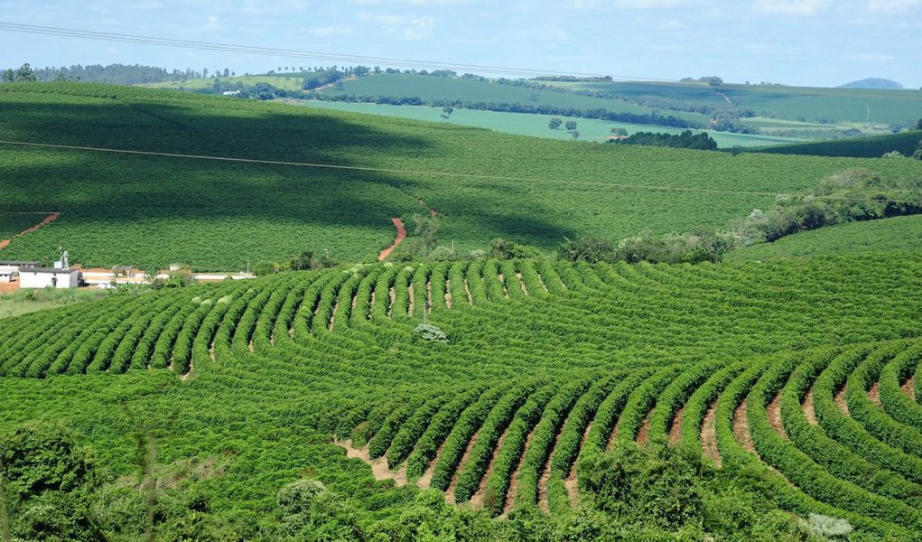 A receita das exportações mineiras do agronegócio, no primeiro bimestre de 2017, somou US$ 1,16 bilhão, valor 16,9% superior ao registrado no mesmo período do ano passado; a cifra alcançada pelas vendas externas equivale a 28,7% do total das exportações estaduais, que somaram US$ 4,05 bilhões;o agronegócio também se consolidou como segmento importante na balança comercial do País, no período, respondendo por aproximadamente 39% das exportações brasileiras, totalizando US$ 11,7 bilhões; a informação é da Seapa, com base em dados do Ministério de Desenvolvimento, Indústria e Comércio Exterior (MDIC) (Foto: Leonardo Lucena) A receita das exportações mineiras do agronegócio, no primeiro bimestre de 2017, somou US$ 1,16 bilhão, valor 16,9% superior ao registrado no mesmo período do ano passado; a cifra alcançada pelas vendas externas equivale a 28,7% do total das exportações estaduais, que somaram US$ 4,05 bilhões;o agronegócio também se consolidou como segmento importante na balança comercial do País, no período, respondendo por aproximadamente 39% das exportações brasileiras, totalizando US$ 11,7 bilhões; a informação é da Seapa, com base em dados do Ministério de Desenvolvimento, Indústria e Comércio Exterior (MDIC)