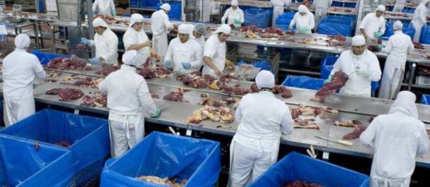 Assim como a Lava Jato destruiu a indústria da construção pesada, que já demitiu mais de 300 mil trabalhadores, e ameaça a Petrobras, agora a “Carne Fraca” mira o agronegócio. É o Brasil descendo a ladeira (Foto: Samuel Pinheiro Guimarães) Assim como a Lava Jato destruiu a indústria da construção pesada, que já demitiu mais de 300 mil trabalhadores, e ameaça a Petrobras, agora a “Carne Fraca” mira o agronegócio. É o Brasil descendo a ladeira