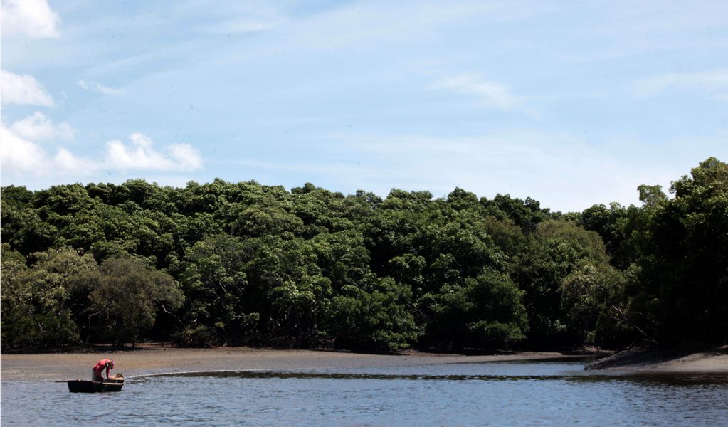 De domingo (4) a domingo (11), a Prefeitura de Fortaleza promove a Semana do Meio Ambiente 2017, com o tema No lugar de lixo, árvores e flores". A programação reúne diversas atividades como educação ambiental, plantios, limpezas e passeio ciclístico. Confira (Foto: Rodrigo Rocha) De domingo (4) a domingo (11), a Prefeitura de Fortaleza promove a Semana do Meio Ambiente 2017, com o tema No lugar de lixo, árvores e flores". A programação reúne diversas atividades como educação ambiental, plantios, limpezas e passeio ciclístico. Confira