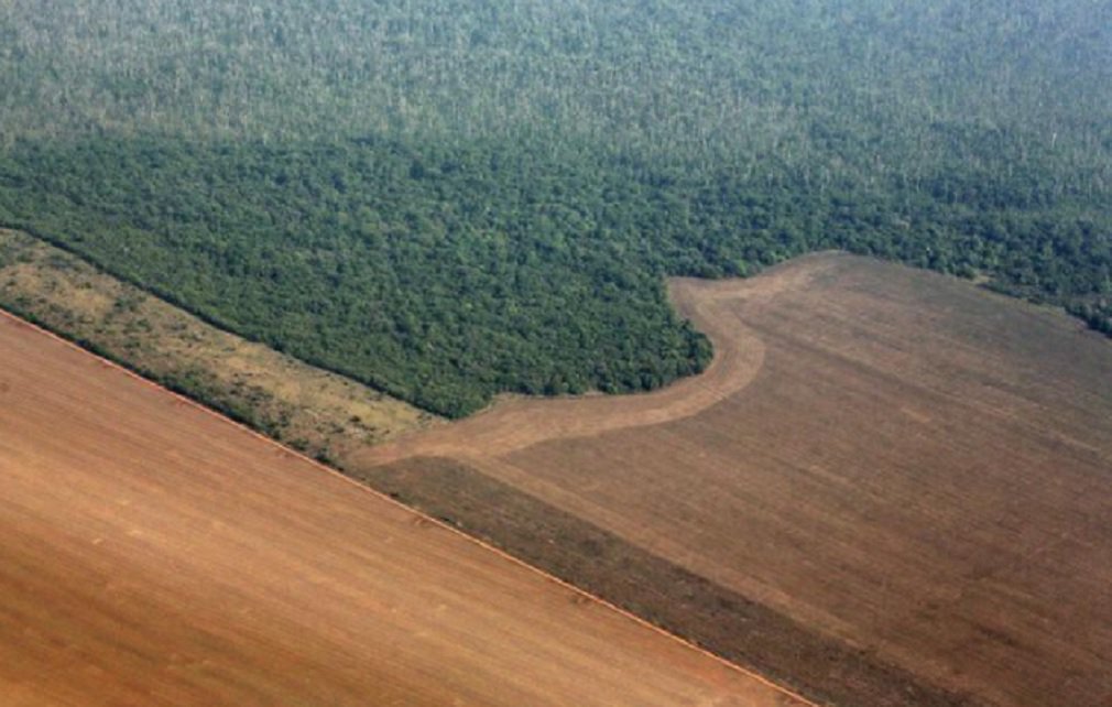 A taxa de desmatamento na Amazônia caiu 16 por cento entre agosto de 2016 e julho de 2017, de acordo com os dados do Instituto Nacional de Pesquisas Espaciais divulgados nesta terça-feira pelo governo federal; os dados apontam que o corte raso na Amazônia neste período foi de 6.624 km²; entre 2015 e 2016, o corte alcançou 7.893 km². De acordo com o ministro do Meio Ambiente, José Sarney Filho, os números representam uma queda de 76 por cento em relação a 2004, quando o governo federal iniciou o plano de controle do desmatamento da Amazônia (Foto: José Barbacena) A taxa de desmatamento na Amazônia caiu 16 por cento entre agosto de 2016 e julho de 2017, de acordo com os dados do Instituto Nacional de Pesquisas Espaciais divulgados nesta terça-feira pelo governo federal; os dados apontam que o corte raso na Amazônia neste período foi de 6.624 km²; entre 2015 e 2016, o corte alcançou 7.893 km². De acordo com o ministro do Meio Ambiente, José Sarney Filho, os números representam uma queda de 76 por cento em relação a 2004, quando o governo federal iniciou o plano de controle do desmatamento da Amazônia