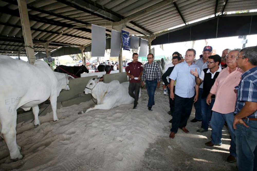 Durante evento da agroindústria, o governador Rui Costa (PT) revelou que vai assinar o contrato para duplicação da rodovia que liga as cidades de Itabuna e Ilhéus, o que está previsto para o mês de outubro; “Retorno em breve para assinar o contrato da duplicação da rodovia Ilhéus- Itabuna, esse grande sonho que a região tem há muitas décadas. Muitos desses sonhos estão sendo materializados, como a barragem do Rio Colônia, a ponte de Ilhéus, o novo hospital da Costa do Cacau. São marcos históricos, que a região espera há muitas décadas”, afirmou Rui (Foto: Voney Malta) Durante evento da agroindústria, o governador Rui Costa (PT) revelou que vai assinar o contrato para duplicação da rodovia que liga as cidades de Itabuna e Ilhéus, o que está previsto para o mês de outubro; “Retorno em breve para assinar o contrato da duplicação da rodovia Ilhéus- Itabuna, esse grande sonho que a região tem há muitas décadas. Muitos desses sonhos estão sendo materializados, como a barragem do Rio Colônia, a ponte de Ilhéus, o novo hospital da Costa do Cacau. São marcos históricos, que a região espera há muitas décadas”, afirmou Rui