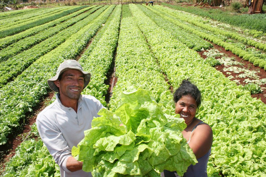 O Agro+Produtor Rural, que será lançado nesta terça-feira (12), vai beneficiar 500 agricultores de 21 municípios, com investimento de R$ 2.394.918,00. O projeto visa ao aperfeiçoamento e disseminação de novas tecnologias, gerando o aumento da produção e da comercialização, e principalmente a fixação do homem no campo (Foto: Rodrigo Rocha) O Agro+Produtor Rural, que será lançado nesta terça-feira (12), vai beneficiar 500 agricultores de 21 municípios, com investimento de R$ 2.394.918,00. O projeto visa ao aperfeiçoamento e disseminação de novas tecnologias, gerando o aumento da produção e da comercialização, e principalmente a fixação do homem no campo