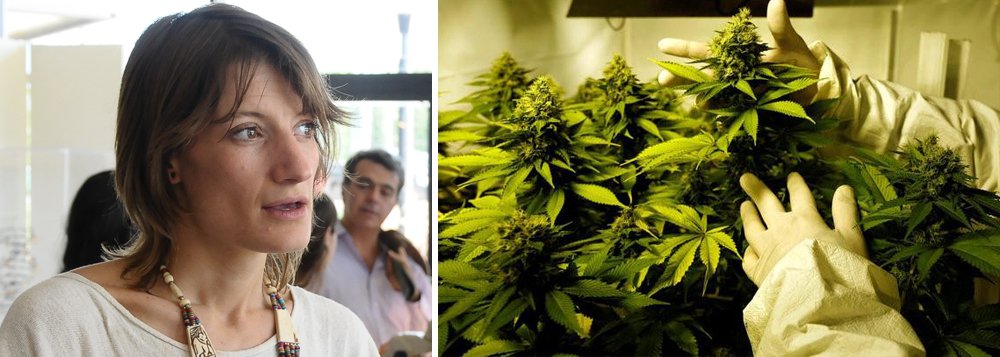Desde 2014, quando a Lei da Cannabis foi promulgada no Uruguai, o número de consumidores não aumentou – ao contrário do que supõe a vã filosófica dos que se opõem à liberação; é o que diz, nessa entrevista exclusiva ao 247, a uruguaia Mercedes Ponce de Leon, 32 anos, usuária desde os 14 e uma das fundadoras da Expocannabis; "O tabu é que gera atração", diz ela; no entanto, o tráfico também ainda não foi extirpado; "O narcotráfico ainda opera no Uruguai. Vai continuar operando por um tempo até que toda a implementação seja completada", afirma, embora diga que "hoje em dia o narcotráfico perdeu no Uruguai quase 23 mil usuários de cannabis; leia a íntegra da entrevista (Foto: Gisele Federicce) Desde 2014, quando a Lei da Cannabis foi promulgada no Uruguai, o número de consumidores não aumentou – ao contrário do que supõe a vã filosófica dos que se opõem à liberação; é o que diz, nessa entrevista exclusiva ao 247, a uruguaia Mercedes Ponce de Leon, 32 anos, usuária desde os 14 e uma das fundadoras da Expocannabis; "O tabu é que gera atração", diz ela; no entanto, o tráfico também ainda não foi extirpado; "O narcotráfico ainda opera no Uruguai. Vai continuar operando por um tempo até que toda a implementação seja completada", afirma, embora diga que "hoje em dia o narcotráfico perdeu no Uruguai quase 23 mil usuários de cannabis; leia a íntegra da entrevista
