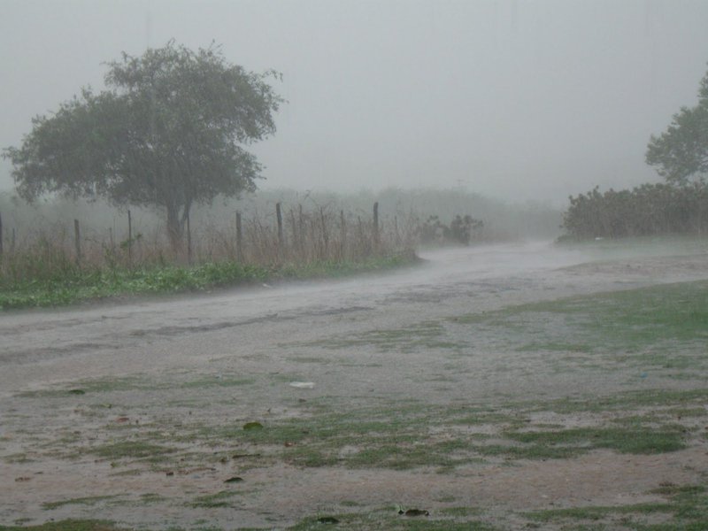 A Funceme registra chuva hoje, em 113 municípios do Ceará. As maiores chuvas foram registradas no município de Assaré, na região do Cariri. Para os dias 18(sábado) e 19(domingo), Dia de São José, véspera da passagem do equinócio, a Funceme prevê nebulosidade variável com possibilidade de chuvas isoladas em todo o estado do Ceará. Na crença popular, a ocorrência de boas chuvas no dia de São Jose indica que teremos um bom inverno (Foto: Fatima 247) A Funceme registra chuva hoje, em 113 municípios do Ceará. As maiores chuvas foram registradas no município de Assaré, na região do Cariri. Para os dias 18(sábado) e 19(domingo), Dia de São José, véspera da passagem do equinócio, a Funceme prevê nebulosidade variável com possibilidade de chuvas isoladas em todo o estado do Ceará. Na crença popular, a ocorrência de boas chuvas no dia de São Jose indica que teremos um bom inverno