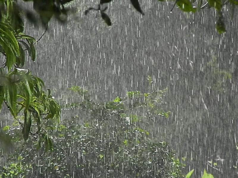 O último boletim da Funceme, divulgado as 10:45 de hoje, registra chuva em 134 municípios. O maior volume de chuvas foi registrado em Jaguaretama, com 125.0 mm. Amanhã, a Funceme deverá anunciar o novo prognóstico sobre inverno no Ceará (Foto: Fatima 247) O último boletim da Funceme, divulgado as 10:45 de hoje, registra chuva em 134 municípios. O maior volume de chuvas foi registrado em Jaguaretama, com 125.0 mm. Amanhã, a Funceme deverá anunciar o novo prognóstico sobre inverno no Ceará
