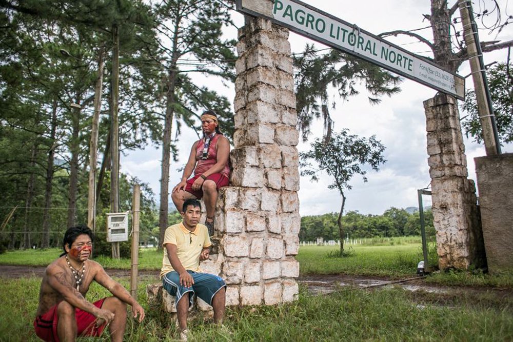 A Justiça Federal concedeu uma liminar em ação da Procuradoria-Geral do Estado (PGE-RS) pedindo a reintegração de uma área pertencente à Fundação de Pesquisa Agropecuária (Fepagro), em Maquiné, no Litoral Norte; o local foi ocupado no dia 27 de janeiro por cerca de 30 famílias Mbya Guarani, que reivindicam a área de mata atlântica como um território indígena; vídeo (Foto: Leonardo Lucena) A Justiça Federal concedeu uma liminar em ação da Procuradoria-Geral do Estado (PGE-RS) pedindo a reintegração de uma área pertencente à Fundação de Pesquisa Agropecuária (Fepagro), em Maquiné, no Litoral Norte; o local foi ocupado no dia 27 de janeiro por cerca de 30 famílias Mbya Guarani, que reivindicam a área de mata atlântica como um território indígena; vídeo
