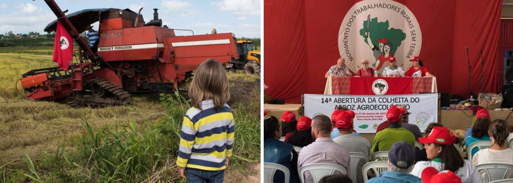 Para a safra do arroz orgânico de 2016-17, o MST estima a colheita de mais de 27 mil toneladas, produzidas em 22 assentamentos diferentes, envolvendo 616 famílias gaúchas. Também serão produzidas 22.260 sacas de sementes, que não são transgênicas; apenas no município gaúcho de Nova Santa Rita, a produção do MST faz circular R$ 7 milhões por ano, movimentando a economia local; segundo a BBC, o movimento exporta 30% de sua produção (Foto: Aquiles Lins) Para a safra do arroz orgânico de 2016-17, o MST estima a colheita de mais de 27 mil toneladas, produzidas em 22 assentamentos diferentes, envolvendo 616 famílias gaúchas. Também serão produzidas 22.260 sacas de sementes, que não são transgênicas; apenas no município gaúcho de Nova Santa Rita, a produção do MST faz circular R$ 7 milhões por ano, movimentando a economia local; segundo a BBC, o movimento exporta 30% de sua produção