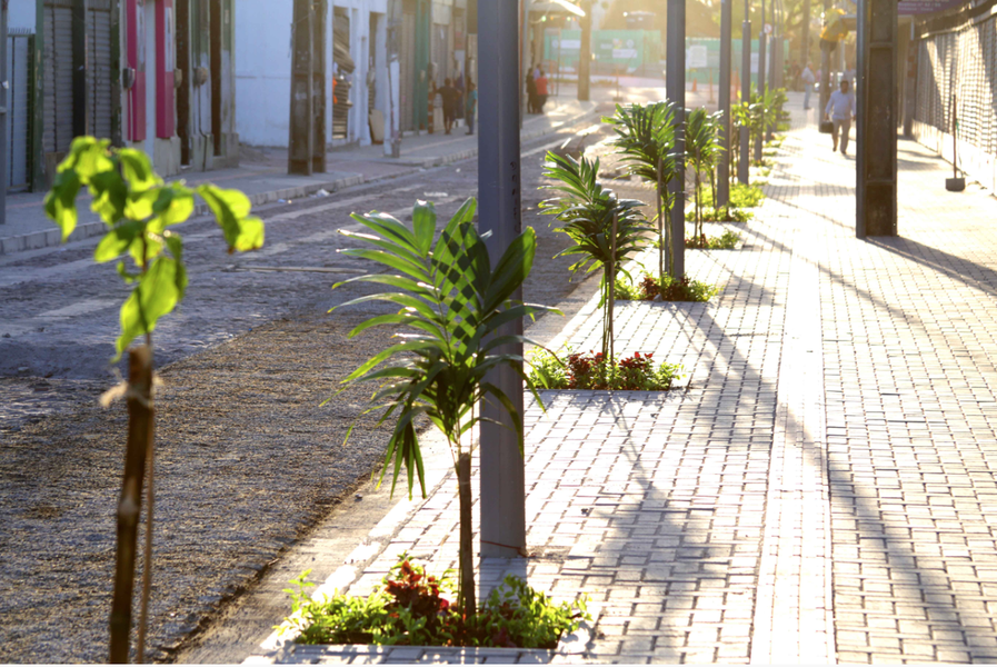 As obras de requalificação da rua José Avelino e Alberto Nepomuceno, no Centro, serão entregues à população pelo prefeito Roberto Cláudio (PDT) nesta sexta-feira (8), após quatro meses de trabalhos. Com investimento de R$ 2 milhões, as vias ganharam nova iluminação, calçadas mais largas e acessíveis, ciclofaixa, ecoponto, recapeamento asfáltico, pavimentação e paisagismo ao longo dos passeios e canteiro central (Foto: Rodrigo Rocha) As obras de requalificação da rua José Avelino e Alberto Nepomuceno, no Centro, serão entregues à população pelo prefeito Roberto Cláudio (PDT) nesta sexta-feira (8), após quatro meses de trabalhos. Com investimento de R$ 2 milhões, as vias ganharam nova iluminação, calçadas mais largas e acessíveis, ciclofaixa, ecoponto, recapeamento asfáltico, pavimentação e paisagismo ao longo dos passeios e canteiro central