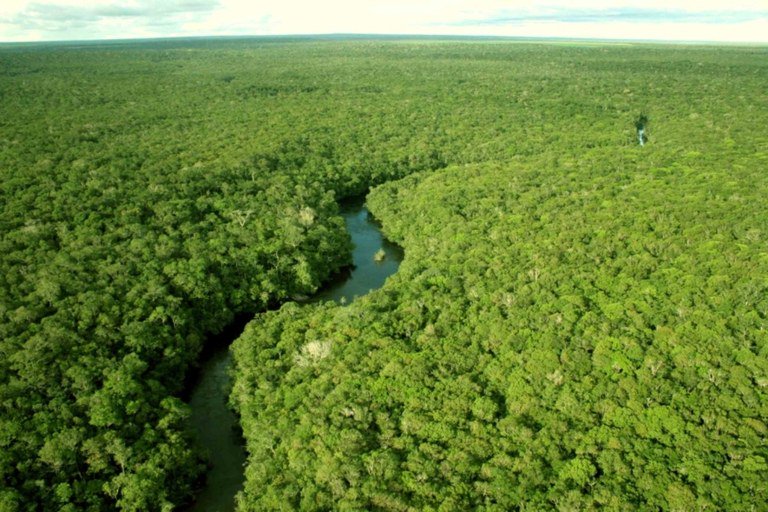 Reserva Nacional de Cobre e Associados (Renca) (Foto: Romerito Aquino) Reserva Nacional de Cobre e Associados (Renca)