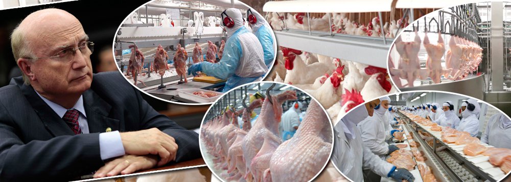 Operação espalhafatosa da Polícia Federal, somada ao loteamento político da Agricultura por PMDB e PP, já causa grandes prejuízos ao País; a Coreia do Sul barrou temporariamente a importação de frangos da brasileira BRF, após a deflagração da operação Carne Fraca na última sexta-feira 17; governo sul-coreano anunciou ainda que vai intensificar a fiscalização; a União Europeia também anunciou nesta manhã a suspensão da importação de carne de todas as empresas envolvidas na investigação; assunto deve ser levado a reuniões da OMC nesta semana; Michel Temer ainda não demitiu Osmar Serraglio, seu ministro da Justiça, que tratava o líder da máfia dos fiscais como "grande chefe" (Foto: Paulo Emílio) Operação espalhafatosa da Polícia Federal, somada ao loteamento político da Agricultura por PMDB e PP, já causa grandes prejuízos ao País; a Coreia do Sul barrou temporariamente a importação de frangos da brasileira BRF, após a deflagração da operação Carne Fraca na última sexta-feira 17; governo sul-coreano anunciou ainda que vai intensificar a fiscalização; a União Europeia também anunciou nesta manhã a suspensão da importação de carne de todas as empresas envolvidas na investigação; assunto deve ser levado a reuniões da OMC nesta semana; Michel Temer ainda não demitiu Osmar Serraglio, seu ministro da Justiça, que tratava o líder da máfia dos fiscais como "grande chefe"