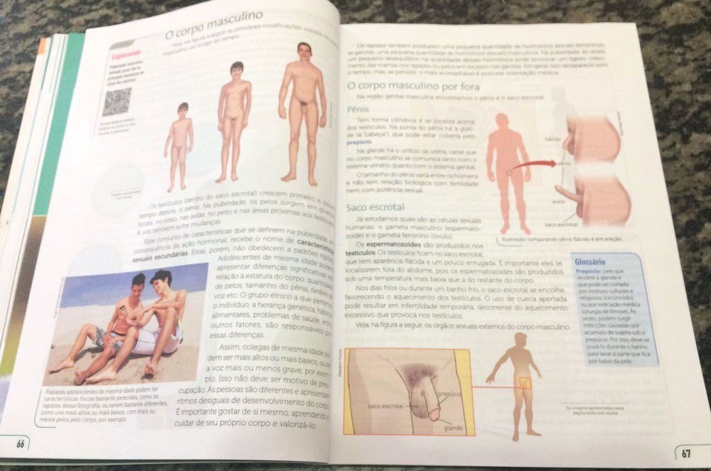 Pênis, vagina, clitóris, vulva, ânus, ovário, testículos, grandes e pequenos lábios, trompas de falópio, virgindade, orgasmo, homossexualidade, diversidade familiar, transexualidade, homofobia e qualquer assunto que desperte atenção na puberdade e exija explicação no ambiente escolar por pessoa qualificada não pode sofrer a interferência de uma turba de pais ignorantes e babacas (Foto: Luciana Oliveira) Pênis, vagina, clitóris, vulva, ânus, ovário, testículos, grandes e pequenos lábios, trompas de falópio, virgindade, orgasmo, homossexualidade, diversidade familiar, transexualidade, homofobia e qualquer assunto que desperte atenção na puberdade e exija explicação no ambiente escolar por pessoa qualificada não pode sofrer a interferência de uma turba de pais ignorantes e babacas