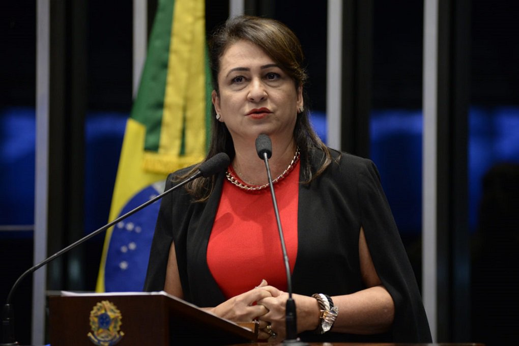 Plenário do Senado durante sessão deliberativa ordinária. Em discurso, senadora Kátia Abreu (PMDB-TO). Foto: Jane de Araújo/Agência Senado (Foto: Leonardo Lucena) Plenário do Senado durante sessão deliberativa ordinária. Em discurso, senadora Kátia Abreu (PMDB-TO). Foto: Jane de Araújo/Agência Senado