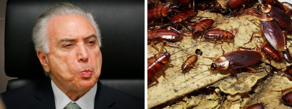 O Palácio do Planalto sofre com uma infestação de baratas; na semana passada, elas foram vistas saindo de suportes de energia elétrica próximos à galeria de retratos dos presidentes brasileiros, no andar térreo; baratas também circulam pelos corredores e chegaram a subir em um repórter; administração promete reforço na dedetização do espaço (Foto: Giuliana Miranda) O Palácio do Planalto sofre com uma infestação de baratas; na semana passada, elas foram vistas saindo de suportes de energia elétrica próximos à galeria de retratos dos presidentes brasileiros, no andar térreo; baratas também circulam pelos corredores e chegaram a subir em um repórter; administração promete reforço na dedetização do espaço