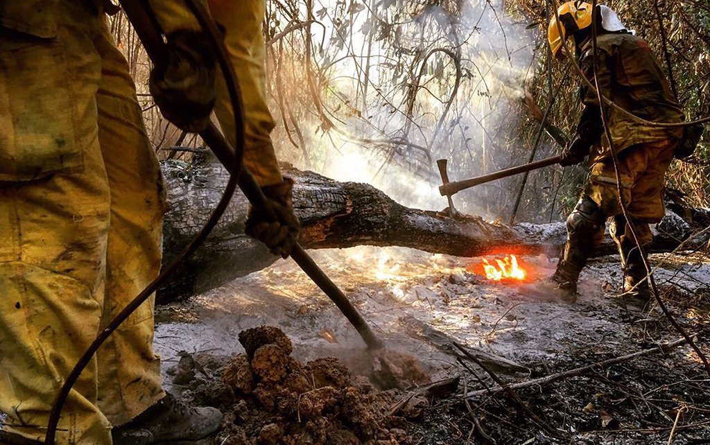 O Corpo de Bombeiros informou que o fogo voltou a atingir o Parque Estadual da Serra do Rola Moça, no bairro Pongelupe, na Região do Barreiro, em Belo Horizonte; segundo a corporação, o incêndio destrói uma mata da Companhia de Saneamento de Minas Gerais (Copasa) que, recentemente, foi integrada ao parque; os bombeiros veem o incêndio como algo intencional (Foto: Leonardo Lucena) O Corpo de Bombeiros informou que o fogo voltou a atingir o Parque Estadual da Serra do Rola Moça, no bairro Pongelupe, na Região do Barreiro, em Belo Horizonte; segundo a corporação, o incêndio destrói uma mata da Companhia de Saneamento de Minas Gerais (Copasa) que, recentemente, foi integrada ao parque; os bombeiros veem o incêndio como algo intencional