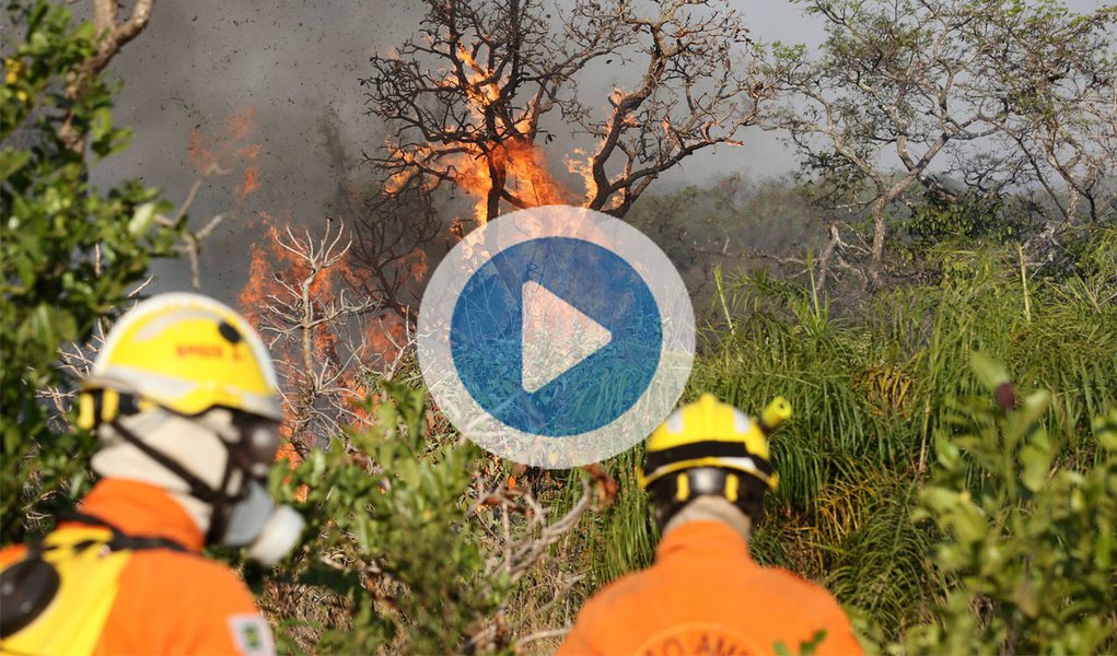 Um incêndio de grandes proporções está destruindo o Parque Nacional da Chapada dos Veadeiros. Desde a última terça-feira (17), o fogo já consumiu cerca de 35 mil hectares, o equivalente a 14,6% da reserva considerada patrimônio natural da humanidade; segundo Fernando Tatagiba, chefe do Parque Nacional, trata-se de um incêndio criminoso. "Alguém colocou fogo na vegetação dos dois lados da rodovia GO-118 e no interior de um aceiro, uma área desmatada que serve justamente como medida de prevenção de incêndios. Certamente se trata de uma pessoa que conhece a região e a nossa dinâmica de combate às chamas", relata; nas redes sociais, internautas, ONGs e entidades ambientais divulgam fotos e vídeos do desastre; assista acima (Foto: Aquiles Lins) Um incêndio de grandes proporções está destruindo o Parque Nacional da Chapada dos Veadeiros. Desde a última terça-feira (17), o fogo já consumiu cerca de 35 mil hectares, o equivalente a 14,6% da reserva considerada patrimônio natural da humanidade; segundo Fernando Tatagiba, chefe do Parque Nacional, trata-se de um incêndio criminoso. "Alguém colocou fogo na vegetação dos dois lados da rodovia GO-118 e no interior de um aceiro, uma área desmatada que serve justamente como medida de prevenção de incêndios. Certamente se trata de uma pessoa que conhece a região e a nossa dinâmica de combate às chamas", relata; nas redes sociais, internautas, ONGs e entidades ambientais divulgam fotos e vídeos do desastre; assista acima