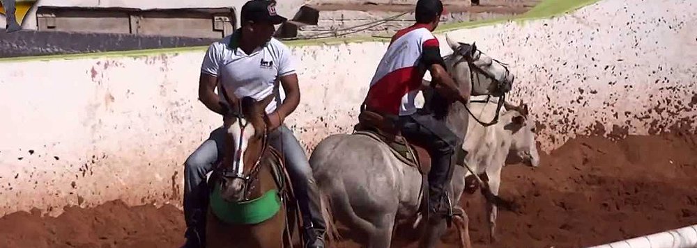 O TJ-MG determinou o cancelamento das provas de vaquejada previstas para celebração de 105 anos da emancipação do município de Coração de Jesus, no norte de Minas; a juíza Luciana de Oliveira Torres reconheceu que o evento movimenta o comércio e atrai investimentos para a região, mas considerou que os benefícios se dariam às custas do sofrimento dos animais; a decisão, em caráter liminar, foi concedida atendendo pedido do MP-MG em ação civil pública (Foto: Leonardo Lucena) O TJ-MG determinou o cancelamento das provas de vaquejada previstas para celebração de 105 anos da emancipação do município de Coração de Jesus, no norte de Minas; a juíza Luciana de Oliveira Torres reconheceu que o evento movimenta o comércio e atrai investimentos para a região, mas considerou que os benefícios se dariam às custas do sofrimento dos animais; a decisão, em caráter liminar, foi concedida atendendo pedido do MP-MG em ação civil pública