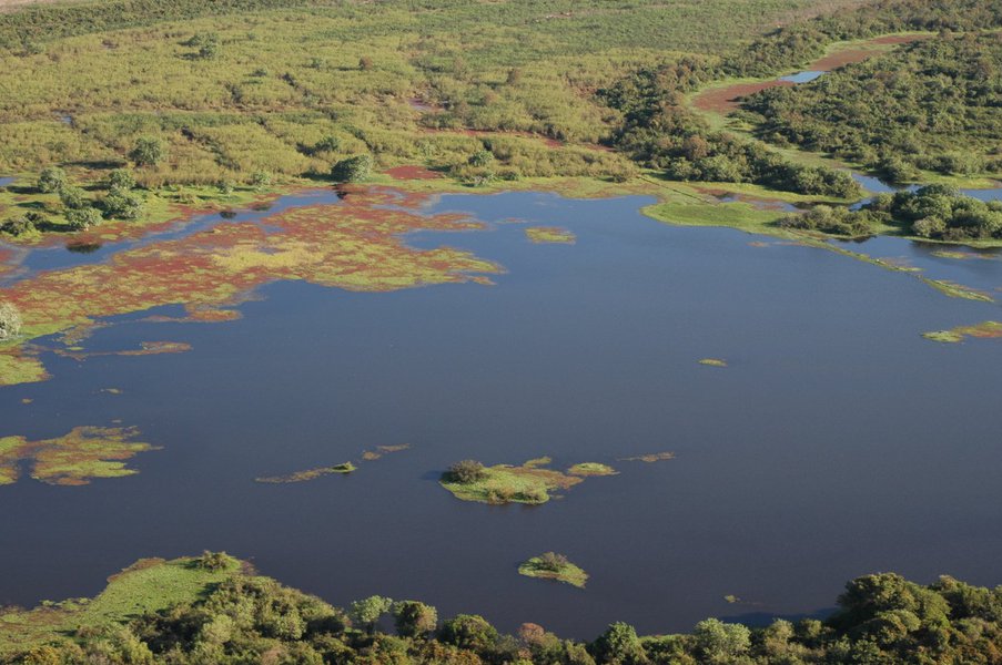 O governo de Minas retomou, por meio do Instituto Estadual de Florestas (IEF), os pagamentos a 851 proprietários e posseiros rurais de Minas Gerais que participam do Programa Bolsa Verde; o montante de recursos disponibilizado para esses beneficiários soma, neste mês, pouco mais de R$ 5,04 milhões e é destinado à regularização dos repasses que estavam suspensos; durante todo o ano de 2016, o IEF demandou à Secretaria de Estado da Fazenda (SEF) a liberação dos recursos financeiros necessários para o pagamento dos beneficiários do programa (Foto: Leonardo Lucena) O governo de Minas retomou, por meio do Instituto Estadual de Florestas (IEF), os pagamentos a 851 proprietários e posseiros rurais de Minas Gerais que participam do Programa Bolsa Verde; o montante de recursos disponibilizado para esses beneficiários soma, neste mês, pouco mais de R$ 5,04 milhões e é destinado à regularização dos repasses que estavam suspensos; durante todo o ano de 2016, o IEF demandou à Secretaria de Estado da Fazenda (SEF) a liberação dos recursos financeiros necessários para o pagamento dos beneficiários do programa