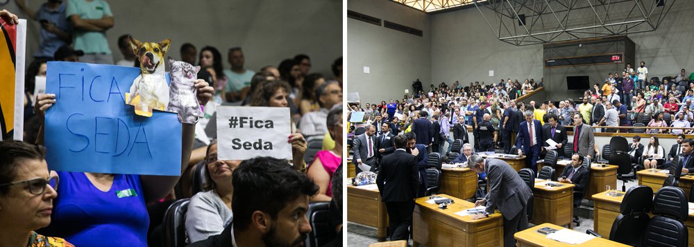 A Câmara Municipal de Porto Alegre tomou suas primeiras decisões do ano e da gestão de Nelson Marchezan Jr. (PSDB) à frente da Prefeitura da capital gaúcha; em uma sessão tensa, com as galerias lotadas, a Câmara deliberou sobre o projeto que propôs a extinção de 16 secretarias municipais, a criação de nove secretarias e estabeleceu as finalidades e competências dessas novas pastas; entre as primeiras medidas da “era Marchezan”, as que causaram maiores protestos foram as que propuseram a retirada da coordenação do licenciamento ambiental do âmbito da Secretaria Municipal do Meio Ambiente (Smam) e a extinção da Secretaria Especial dos Direitos Animais (Seda)
(Foto: Leonardo Lucena) A Câmara Municipal de Porto Alegre tomou suas primeiras decisões do ano e da gestão de Nelson Marchezan Jr. (PSDB) à frente da Prefeitura da capital gaúcha; em uma sessão tensa, com as galerias lotadas, a Câmara deliberou sobre o projeto que propôs a extinção de 16 secretarias municipais, a criação de nove secretarias e estabeleceu as finalidades e competências dessas novas pastas; entre as primeiras medidas da “era Marchezan”, as que causaram maiores protestos foram as que propuseram a retirada da coordenação do licenciamento ambiental do âmbito da Secretaria Municipal do Meio Ambiente (Smam) e a extinção da Secretaria Especial dos Direitos Animais (Seda)