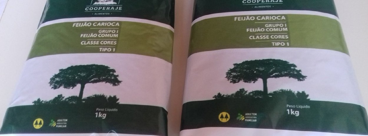 Quinze agricultores familiares de Jequitibá, na região Central, vão fornecer mais de 34 toneladas de feijão carioca tipo 1 para a alimentação escolar de alunos da rede municipal de ensino de Belo Horizonte (Foto: Fatima 247) Quinze agricultores familiares de Jequitibá, na região Central, vão fornecer mais de 34 toneladas de feijão carioca tipo 1 para a alimentação escolar de alunos da rede municipal de ensino de Belo Horizonte