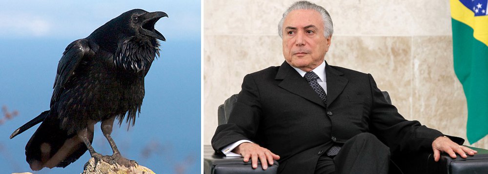 O processo de cassação arrefeceu no fim de semana em virtude da morte do ministro do STF Teori Zavascki, mas, após o luto, vem com tudo para deixa Temer no bico do corvo (Foto: Esmael Morais) O processo de cassação arrefeceu no fim de semana em virtude da morte do ministro do STF Teori Zavascki, mas, após o luto, vem com tudo para deixa Temer no bico do corvo