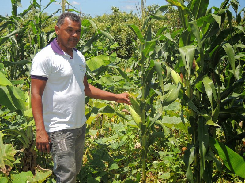 O governo de Alagoas vai investir o recurso na regularização fundiária nos municípios alagoanos de Branquinha, Santana do Mundaú e União dos Palmares; também haverá quitação de propriedades rurais no Sertão para assentamento de 192 famílias, além da entrega títulos de terra em vários municípios (Foto: Voney Malta) O governo de Alagoas vai investir o recurso na regularização fundiária nos municípios alagoanos de Branquinha, Santana do Mundaú e União dos Palmares; também haverá quitação de propriedades rurais no Sertão para assentamento de 192 famílias, além da entrega títulos de terra em vários municípios