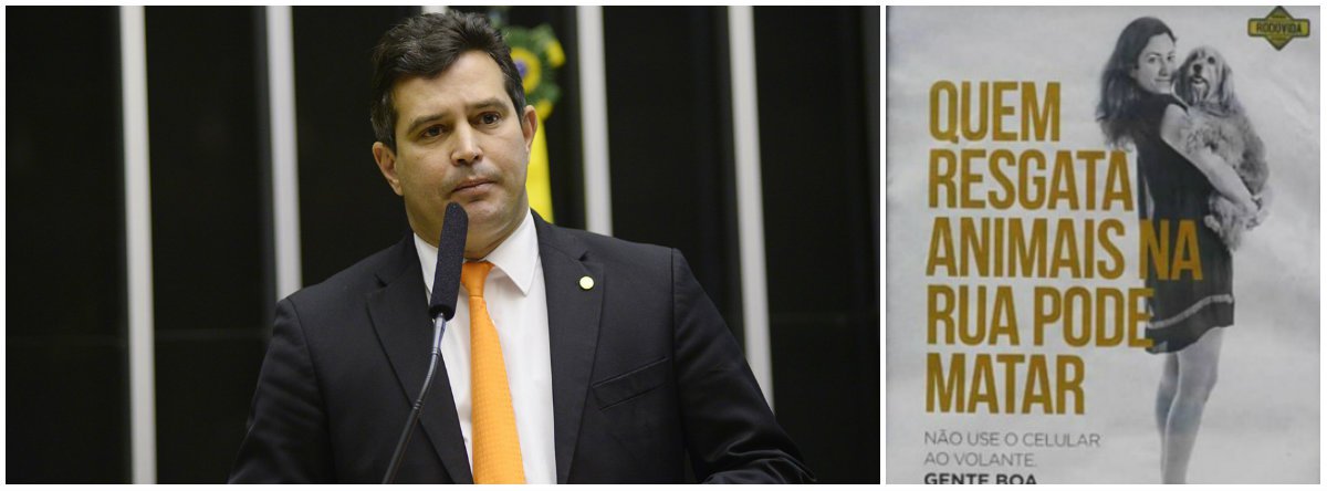Ministro dos Transportes, Maurício Quintella Lessa, telefonou nesta quarta-feira 4 para o deputado do PSDB Ricardo Tripoli e disse que vai retirar a polêmica propaganda "Gente boa também mata", sobre segurança no trânsito; ele chegou a admitir que foi uma propaganda infeliz e pediu desculpas a Tripoli; o deputado, conhecido pelo trabalho em defesa dos animais, havia enviado um ofício pedindo que a propaganda fosse retirada (Foto: Gisele Federicce) Ministro dos Transportes, Maurício Quintella Lessa, telefonou nesta quarta-feira 4 para o deputado do PSDB Ricardo Tripoli e disse que vai retirar a polêmica propaganda "Gente boa também mata", sobre segurança no trânsito; ele chegou a admitir que foi uma propaganda infeliz e pediu desculpas a Tripoli; o deputado, conhecido pelo trabalho em defesa dos animais, havia enviado um ofício pedindo que a propaganda fosse retirada