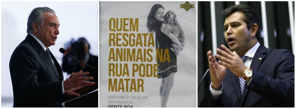 "Quem vê um cartaz com a foto de uma jovem bonita abraçada a um belo cachorro e o título em letras garrafais 'Quem resgata animais na rua pode matar' imagina o que? Que é uma piada; Porque só um mentecapto associaria, a sério, a boa ação de salvar animais com algum tipo de crime", afirma o colunista Alex Solnik sobre a polêmica campanha de trânsito; "O ministro dos Transportes, Mauricio Quintella, que aprovou essa sandice, ganhou o cargo porque foi o primeiro deputado do PR a embarcar na canoa do impeachment e não por ter qualquer intimidade com o tema. Quem pariu Quintella que o embale", diz ele; nesta tarde, o ministro anunciou que irá retirar a propaganda (Foto: Alex Solnik) "Quem vê um cartaz com a foto de uma jovem bonita abraçada a um belo cachorro e o título em letras garrafais 'Quem resgata animais na rua pode matar' imagina o que? Que é uma piada; Porque só um mentecapto associaria, a sério, a boa ação de salvar animais com algum tipo de crime", afirma o colunista Alex Solnik sobre a polêmica campanha de trânsito; "O ministro dos Transportes, Mauricio Quintella, que aprovou essa sandice, ganhou o cargo porque foi o primeiro deputado do PR a embarcar na canoa do impeachment e não por ter qualquer intimidade com o tema. Quem pariu Quintella que o embale", diz ele; nesta tarde, o ministro anunciou que irá retirar a propaganda
