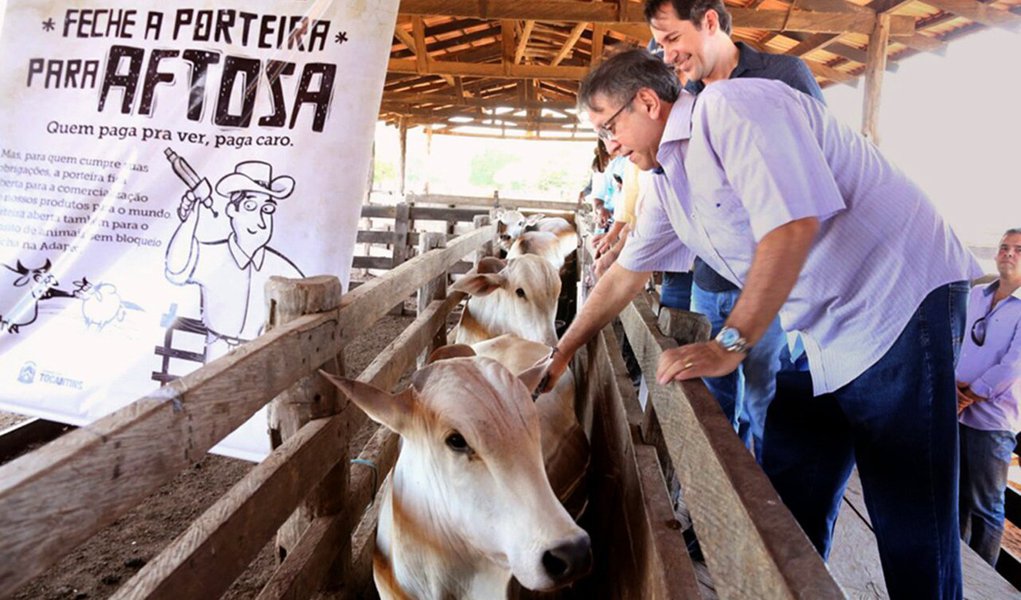 Com um rebanho de cerca de 8,5 milhões de bovinos e bubalinos, o Tocantins caminha para conquistar em 2020 o título de estado livre da febre aftosa sem vacinação; governador Marcelo Miranda (PMDB) lançou no sábado, 5, a campanha da segunda etapa de vacinação contra a febre aftosa; durante a solenidade, também foram entregues sete veículos que irão auxiliar ainda mais o setor de defesa agropecuária em todo o Estado; "Nossas equipes têm feito um belíssimo trabalho no cumprimento das ações de fiscalização, acompanhamento da realização de vacinação. Estamos no caminho certo ao disponibilizarmos o serviço estadual de defesa sanitária a todos os criadores", disse Marcelo (Foto: Aquiles Lins) Com um rebanho de cerca de 8,5 milhões de bovinos e bubalinos, o Tocantins caminha para conquistar em 2020 o título de estado livre da febre aftosa sem vacinação; governador Marcelo Miranda (PMDB) lançou no sábado, 5, a campanha da segunda etapa de vacinação contra a febre aftosa; durante a solenidade, também foram entregues sete veículos que irão auxiliar ainda mais o setor de defesa agropecuária em todo o Estado; "Nossas equipes têm feito um belíssimo trabalho no cumprimento das ações de fiscalização, acompanhamento da realização de vacinação. Estamos no caminho certo ao disponibilizarmos o serviço estadual de defesa sanitária a todos os criadores", disse Marcelo