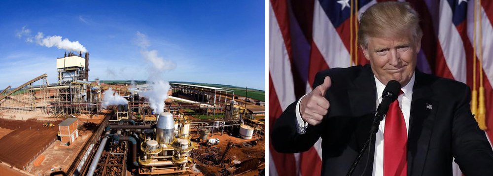 O resultado da eleição de Donald Trump deverá ser prejudicial para a economia alagoana; caso o discurso do presidente eleito dos Estados Unidos de proteção aos produtores americanos seja mantido, o principal produto de exportação de Alagoas, o açúcar, poderá ser fortemente atingido; 85% das vendas são realizadas para o mercado americano (Foto: Voney Malta) O resultado da eleição de Donald Trump deverá ser prejudicial para a economia alagoana; caso o discurso do presidente eleito dos Estados Unidos de proteção aos produtores americanos seja mantido, o principal produto de exportação de Alagoas, o açúcar, poderá ser fortemente atingido; 85% das vendas são realizadas para o mercado americano