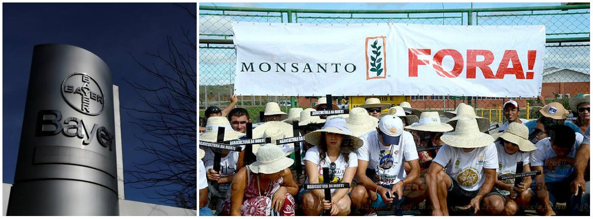 Quem avalia é o professor Victor Pelaez, do programa de Mestrado e Doutorado em Políticas Públicas da UFPR; o docente alerta que, se as mais de 30 agências regulatórias de todo o mundo aprovem a operação de fusão entre as gigantes da indústria química Bayer e Monsanto, a nova companhia será a maior do ramo de insumos agrícolas do mundo; segundo ele, para o Brasil, que se consolidou como maior consumidor de agrotóxicos do mundo e tem um frágil marco regulatório, a transação bilionária representa aumento do risco de insegurança alimentar principalmente quando avançam no Congresso projetos que afrouxam a legislação em vigor (Foto: Leonardo Lucena) Quem avalia é o professor Victor Pelaez, do programa de Mestrado e Doutorado em Políticas Públicas da UFPR; o docente alerta que, se as mais de 30 agências regulatórias de todo o mundo aprovem a operação de fusão entre as gigantes da indústria química Bayer e Monsanto, a nova companhia será a maior do ramo de insumos agrícolas do mundo; segundo ele, para o Brasil, que se consolidou como maior consumidor de agrotóxicos do mundo e tem um frágil marco regulatório, a transação bilionária representa aumento do risco de insegurança alimentar principalmente quando avançam no Congresso projetos que afrouxam a legislação em vigor