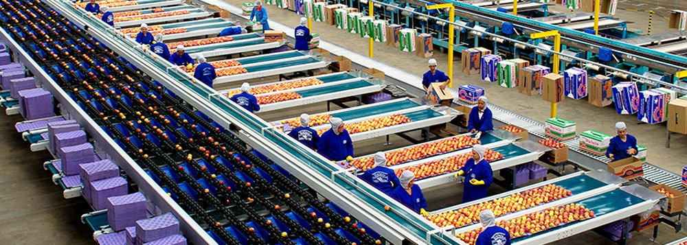 Organização das Nações Unidas para a Alimentação e a Agricultura (FAO) estima que o número mundial de habitantes vai superar os 9 bilhões em 2050; segundo o órgão internacional, a produção mundial de alimentos precisaria aumentar em 60% para assegurar o equilíbrio da segurança alimentar; "Precisamos de mais variedades de alimentos que aguentem as variações de precipitação, de calor, de frio, problemas de enchente. Uma agricultura adaptativa a essas mudanças climáticas", ressalta o representante da entidade no Brasil, Alan Bojanic (Foto: Aquiles Lins) Organização das Nações Unidas para a Alimentação e a Agricultura (FAO) estima que o número mundial de habitantes vai superar os 9 bilhões em 2050; segundo o órgão internacional, a produção mundial de alimentos precisaria aumentar em 60% para assegurar o equilíbrio da segurança alimentar; "Precisamos de mais variedades de alimentos que aguentem as variações de precipitação, de calor, de frio, problemas de enchente. Uma agricultura adaptativa a essas mudanças climáticas", ressalta o representante da entidade no Brasil, Alan Bojanic