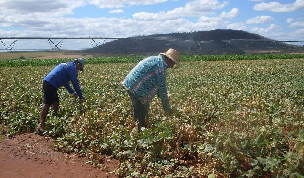 Os agricultores familiares têm até o dia 31 de outubro para quitar o boleto de adesão ao Garantia-Safra 2016/2017; o valor é de apenas R$ 17 e o documento pode ser retirado no escritório da Emater-MG ou nas prefeituras dos municípios beneficiados com o programa; na safra 2015/2016, o valor do Garantia-Safra foi de R$ 850 por agricultor, divididos em cinco parcelas de R$ 170; o benefício é pago com recursos do Fundo Garantia-Safra, composto por contribuições do agricultor, do município, do Estado e da União; a contribuição do agricultor foi de 2% do valor do benefício (R$ 17), o município contribuiu com 6% (R$ 51,00 por agricultor); o Estado com 12% (R$ 102) e a União com 40% (R$ 340) (Foto: Leonardo Lucena) Os agricultores familiares têm até o dia 31 de outubro para quitar o boleto de adesão ao Garantia-Safra 2016/2017; o valor é de apenas R$ 17 e o documento pode ser retirado no escritório da Emater-MG ou nas prefeituras dos municípios beneficiados com o programa; na safra 2015/2016, o valor do Garantia-Safra foi de R$ 850 por agricultor, divididos em cinco parcelas de R$ 170; o benefício é pago com recursos do Fundo Garantia-Safra, composto por contribuições do agricultor, do município, do Estado e da União; a contribuição do agricultor foi de 2% do valor do benefício (R$ 17), o município contribuiu com 6% (R$ 51,00 por agricultor); o Estado com 12% (R$ 102) e a União com 40% (R$ 340)