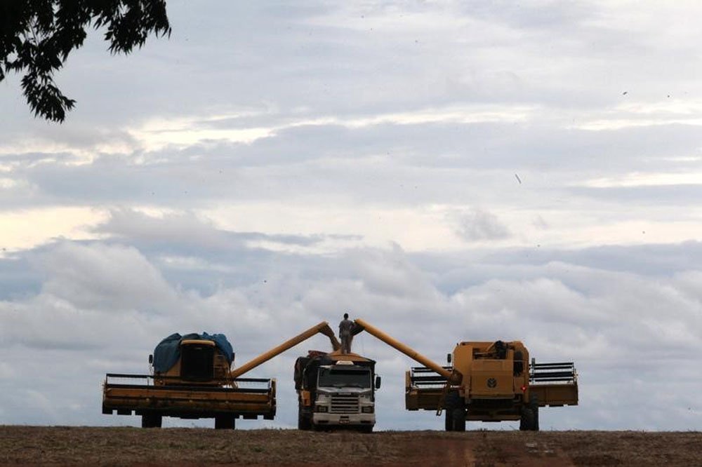 As exportações do agronegócio brasileiro recuaram 12,5% em agosto na comparação com o mesmo mês do ano passado, somando 8,89 bilhões de dólares, com a redução sendo puxada por soja, milho, açúcar e etanol, informou o Ministério da Agricultura (Foto: Paulo Emílio) As exportações do agronegócio brasileiro recuaram 12,5% em agosto na comparação com o mesmo mês do ano passado, somando 8,89 bilhões de dólares, com a redução sendo puxada por soja, milho, açúcar e etanol, informou o Ministério da Agricultura