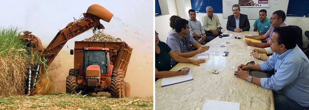 O mais importante setor da economia alagoana, o da cana-de-açúcar, agora conta com a Câmara Setorial da Agroindústria Canavieira, criada pelo governo do Estado, com objetivo de orientar, discutir políticas, estratégias e diretrizes relativas à produção, beneficiamento, industrialização e comercialização da cana e derivados; Câmara também poderá articular-se com os órgãos e entidades dos governos federal, estadual e municipal, cooperativas, associações, entidades privadas e organismos internacionais (Foto: Voney Malta) O mais importante setor da economia alagoana, o da cana-de-açúcar, agora conta com a Câmara Setorial da Agroindústria Canavieira, criada pelo governo do Estado, com objetivo de orientar, discutir políticas, estratégias e diretrizes relativas à produção, beneficiamento, industrialização e comercialização da cana e derivados; Câmara também poderá articular-se com os órgãos e entidades dos governos federal, estadual e municipal, cooperativas, associações, entidades privadas e organismos internacionais
