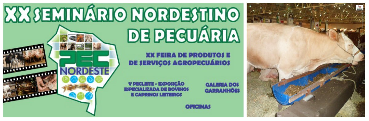Será aberta agora pela manhã o XX PECNODESTE - Seminário Nordestino de Pecuária. O evento prossegue até quarta-feira (23), no Pavilhão Leste do Centro de Eventos do Ceará. São esperadas mais de 100 caravanas de produtores, técnicos de vários estados do Nordeste, além de cerca de 40 mil visitantes. O PECNORDESTE é considerado um dos maiores eventos do agronegócio da pecuária nordestina (Foto: Fatima 247) Será aberta agora pela manhã o XX PECNODESTE - Seminário Nordestino de Pecuária. O evento prossegue até quarta-feira (23), no Pavilhão Leste do Centro de Eventos do Ceará. São esperadas mais de 100 caravanas de produtores, técnicos de vários estados do Nordeste, além de cerca de 40 mil visitantes. O PECNORDESTE é considerado um dos maiores eventos do agronegócio da pecuária nordestina