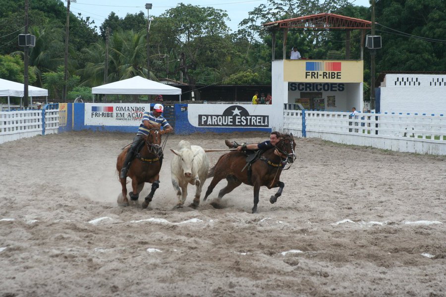 Prática esportiva tradicional no Nordeste, a vaquejada se tornou ilegal a partir de decisão do Supremo Tribunal Federal (STF), que considerou inconstitucional a lei que regulamenta a atividade no estado do Ceará; a maioria dos ministros entendeu que a vaquejada provoca atos cruéis contra os animais; "O assunto foi abordado de forma muito superficial e não conseguiu entender o trabalho que tem sido feito pelas associações, que é exatamente o de garantir uma condição de execução das provas de vaquejada preservando a condição de bem-estar tanto dos cavalos como dos bois", disse o vice-presidente da Associação Brasileira de Vaquejada, Marcos Studart (Foto: Romulo Faro) Prática esportiva tradicional no Nordeste, a vaquejada se tornou ilegal a partir de decisão do Supremo Tribunal Federal (STF), que considerou inconstitucional a lei que regulamenta a atividade no estado do Ceará; a maioria dos ministros entendeu que a vaquejada provoca atos cruéis contra os animais; "O assunto foi abordado de forma muito superficial e não conseguiu entender o trabalho que tem sido feito pelas associações, que é exatamente o de garantir uma condição de execução das provas de vaquejada preservando a condição de bem-estar tanto dos cavalos como dos bois", disse o vice-presidente da Associação Brasileira de Vaquejada, Marcos Studart