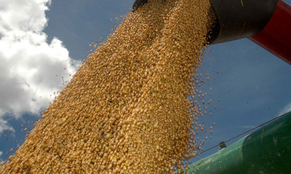 Após o último ano, com escassez de água devido à influência do El Niño, gerando prejuízo, em média de 30% na produção, da Safra 2015/2016, o otimismo do setor é grande para a safra que se inicia, e um dos motivos é a previsão climatológica que favorece o cultivo de grãos; de acordo com estimativa da Conab, o Tocantins terá uma área plantada entre 1,21 a 1,24 milhão hectares na safra 2016/2017 (setembro-março), variando entre a redução de 0,9% a um aumento de 1,9% (Foto: Leonardo Lucena) Após o último ano, com escassez de água devido à influência do El Niño, gerando prejuízo, em média de 30% na produção, da Safra 2015/2016, o otimismo do setor é grande para a safra que se inicia, e um dos motivos é a previsão climatológica que favorece o cultivo de grãos; de acordo com estimativa da Conab, o Tocantins terá uma área plantada entre 1,21 a 1,24 milhão hectares na safra 2016/2017 (setembro-março), variando entre a redução de 0,9% a um aumento de 1,9%
