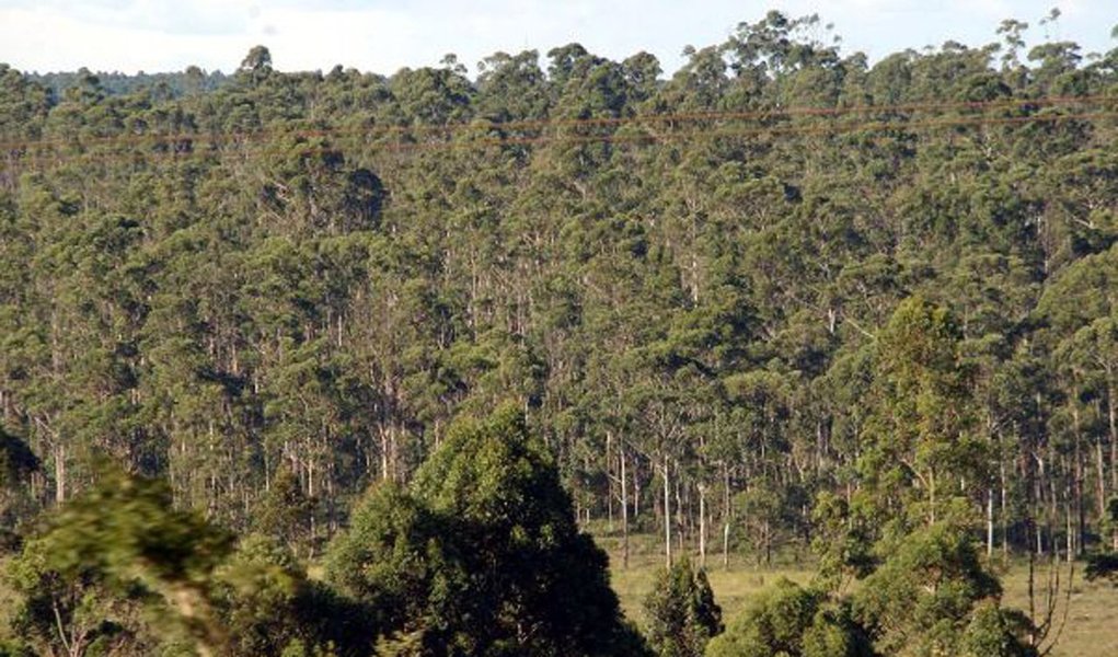 A Associação de Servidores da Secretaria do Ambiente e Desenvolvimento Sustentável (Sema), a Associação de Funcionários da Fundação Estadual de Proteção Ambiental (Fepam) e a Associação dos Funcionários da Fundação Zoobotânica (AFFZB) protocolaram, segunda-feira (17), na Assembleia Legislativa, um parecer sobre o projeto de lei que trata da política agrícola estadual para florestas plantadas e seus produtos; na avaliação das três associações, o projeto em questão, caso aprovado, poderá provocar “prejuízos irreparáveis” ao meio ambiente do Rio Grande do Sul. (Foto: Leonardo Lucena) A Associação de Servidores da Secretaria do Ambiente e Desenvolvimento Sustentável (Sema), a Associação de Funcionários da Fundação Estadual de Proteção Ambiental (Fepam) e a Associação dos Funcionários da Fundação Zoobotânica (AFFZB) protocolaram, segunda-feira (17), na Assembleia Legislativa, um parecer sobre o projeto de lei que trata da política agrícola estadual para florestas plantadas e seus produtos; na avaliação das três associações, o projeto em questão, caso aprovado, poderá provocar “prejuízos irreparáveis” ao meio ambiente do Rio Grande do Sul.
