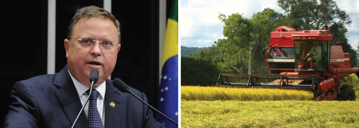 Ministro da Agricultura, Blairo Maggi, afirmou que pretende negociar dentro do governo federal para impedir o avanço de estudos sobre o estabelecimento de uma taxação adicional sobre o agronegócio do país; governo avalia possibilidade de empresas exportadoras do agronegócio passem a pagar contribuição patronal ao INSS em uma reforma da Previdência Social; "O setor da agricultura é importante, o que mais contribui para a economia brasileira. Penalizar quem está sendo eficiente é uma loucura, é um abraço de afogado", disse; família do ministro é proprietária da Amaggi, uma das principais exportadores do agronegócio brasileiro (Foto: Paulo Emílio) Ministro da Agricultura, Blairo Maggi, afirmou que pretende negociar dentro do governo federal para impedir o avanço de estudos sobre o estabelecimento de uma taxação adicional sobre o agronegócio do país; governo avalia possibilidade de empresas exportadoras do agronegócio passem a pagar contribuição patronal ao INSS em uma reforma da Previdência Social; "O setor da agricultura é importante, o que mais contribui para a economia brasileira. Penalizar quem está sendo eficiente é uma loucura, é um abraço de afogado", disse; família do ministro é proprietária da Amaggi, uma das principais exportadores do agronegócio brasileiro