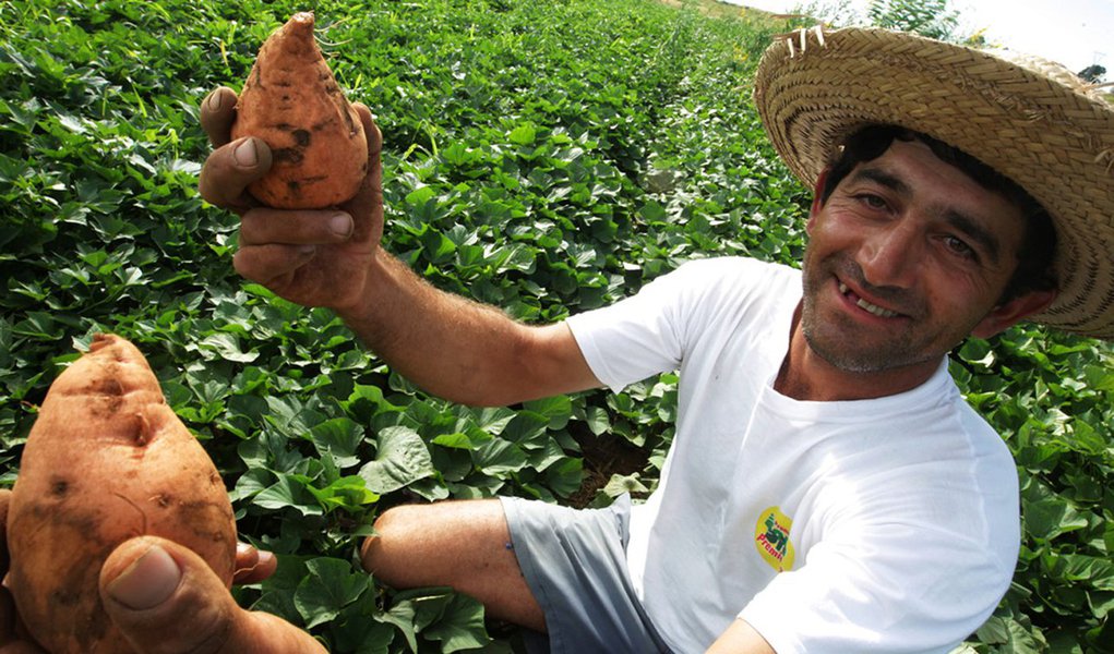 O Instituto de Assistência Técnica e Extensão Rural do Piauí (Emater) tem sido um dos principais agentes de articulação do Programa de Aquisição de Alimentos (PAA), no interior do estado; este programa é de fundamental importância para o agricultor familiar, pois tem contribuído para a melhoria da renda dos pequenos agricultores; o Programa beneficia diretamente 211 famílias de produtores rurais em oito municípios, e indiretamente 1.688 agricultores e agricultoras; foram apresentadas oito propostas e a previsão é que seja acessado cerca de R$ 850 mil em recurso (Foto: Leonardo Lucena) O Instituto de Assistência Técnica e Extensão Rural do Piauí (Emater) tem sido um dos principais agentes de articulação do Programa de Aquisição de Alimentos (PAA), no interior do estado; este programa é de fundamental importância para o agricultor familiar, pois tem contribuído para a melhoria da renda dos pequenos agricultores; o Programa beneficia diretamente 211 famílias de produtores rurais em oito municípios, e indiretamente 1.688 agricultores e agricultoras; foram apresentadas oito propostas e a previsão é que seja acessado cerca de R$ 850 mil em recurso
