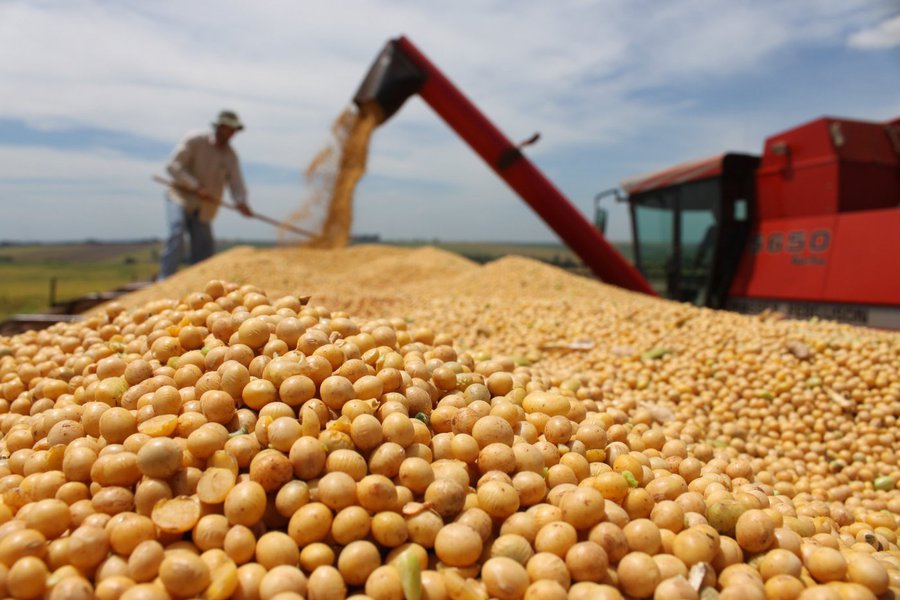 O Departamento de Agricultura dos EUA (USDA) elevou nesta quarta-feira a sua previsão de safra de soja 2016/17 do Brasil em 1 milhão de toneladas, para um recorde de 102 milhões de toneladas; se confirmada, a produção da temporada atual, que está sendo plantada, teria uma recuperação expressiva ante a safra passada, quando o Brasil colheu 96,5 milhões de toneladas, segundo o USDA; já a exportação de soja do Brasil, o maior exportador global, foi prevista em 58,4 milhões de toneladas, estável ante o levantamento de setembro (Foto: Romulo Faro) O Departamento de Agricultura dos EUA (USDA) elevou nesta quarta-feira a sua previsão de safra de soja 2016/17 do Brasil em 1 milhão de toneladas, para um recorde de 102 milhões de toneladas; se confirmada, a produção da temporada atual, que está sendo plantada, teria uma recuperação expressiva ante a safra passada, quando o Brasil colheu 96,5 milhões de toneladas, segundo o USDA; já a exportação de soja do Brasil, o maior exportador global, foi prevista em 58,4 milhões de toneladas, estável ante o levantamento de setembro